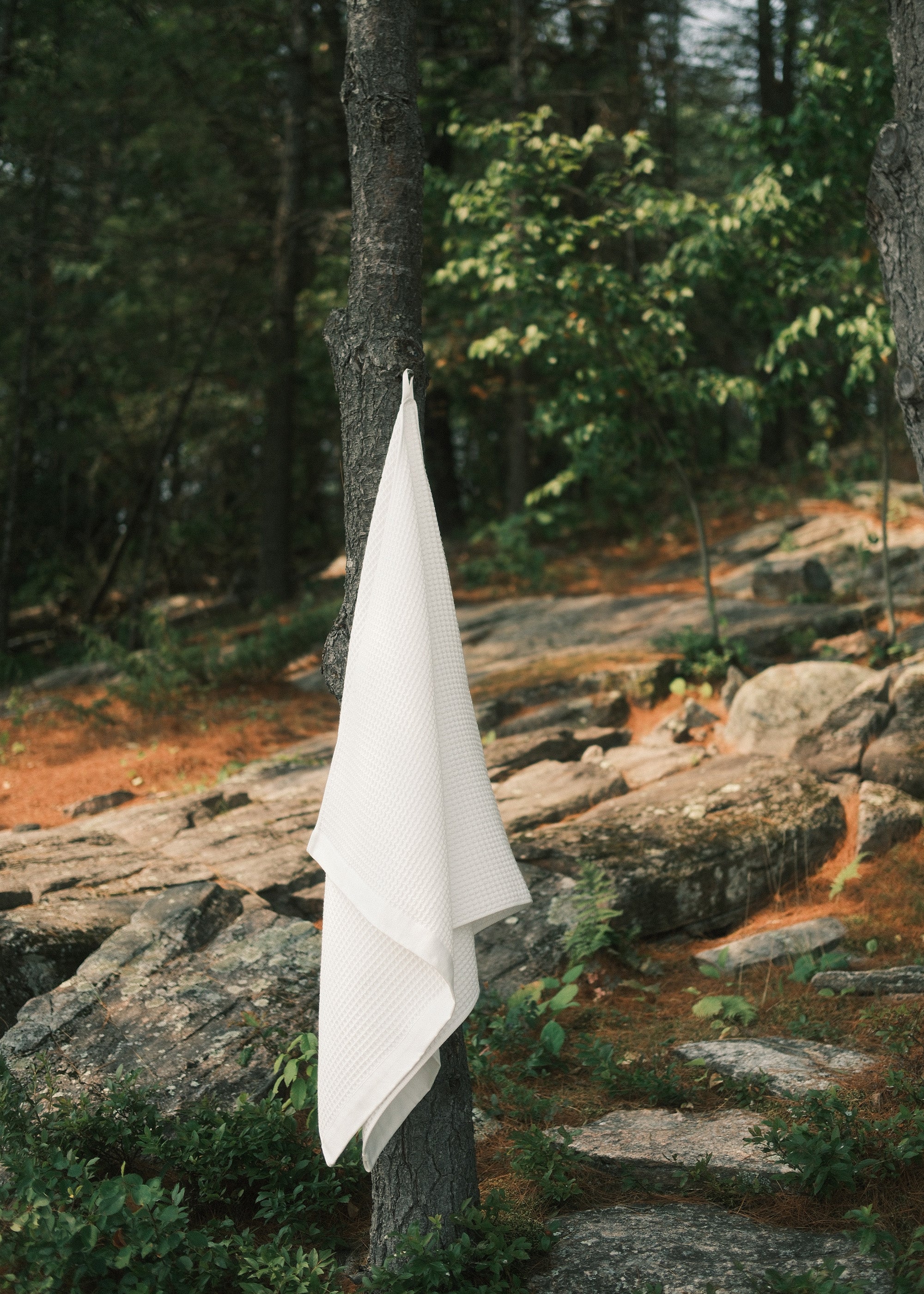 White Nossara Imabari Towel hanging from a tree in a forest setting near Kyoto